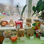 IMG20231114105039.jpg