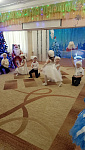 IMG-20251225-WA0004.jpg